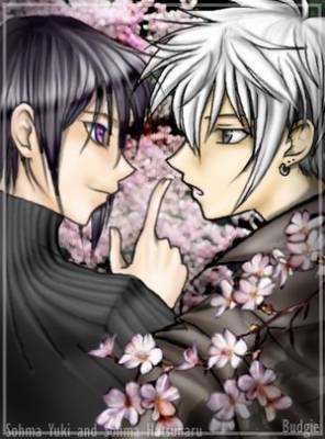 haru vs akito